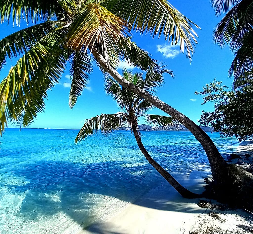 12e624_8df09c59def14eeaae9b0efe906b4a1a~mv2 Luxury Yacht Charters Fiji | What Our Clients Say About Us