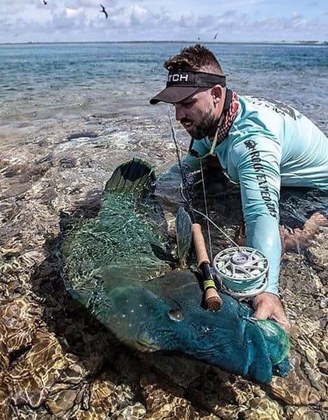 A man in a light blue fishing jacket and black cap kneels on a rocky shoreline, holding a large fish with dark green and blue coloring, near the water's edge with seagulls flying overhead.